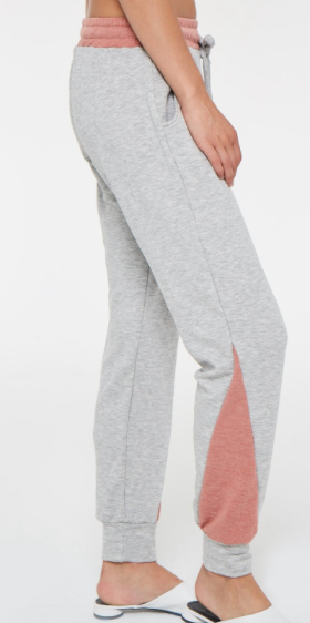 Side view of the Cooper Color Blocked Sweatpants by Project Social T 